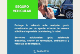 SEGUROS VEHICULARES
