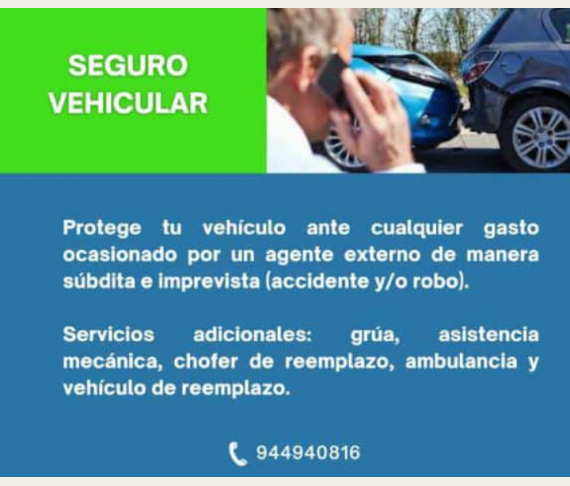 SEGUROS VEHICULARES